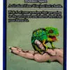 Chameleon of Luck