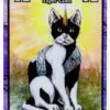 Shadow Pelt - Image 2