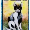 Shadow Pelt - Image 4